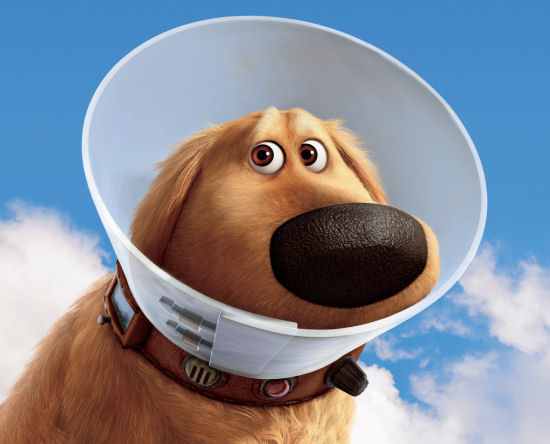 doug.jpg