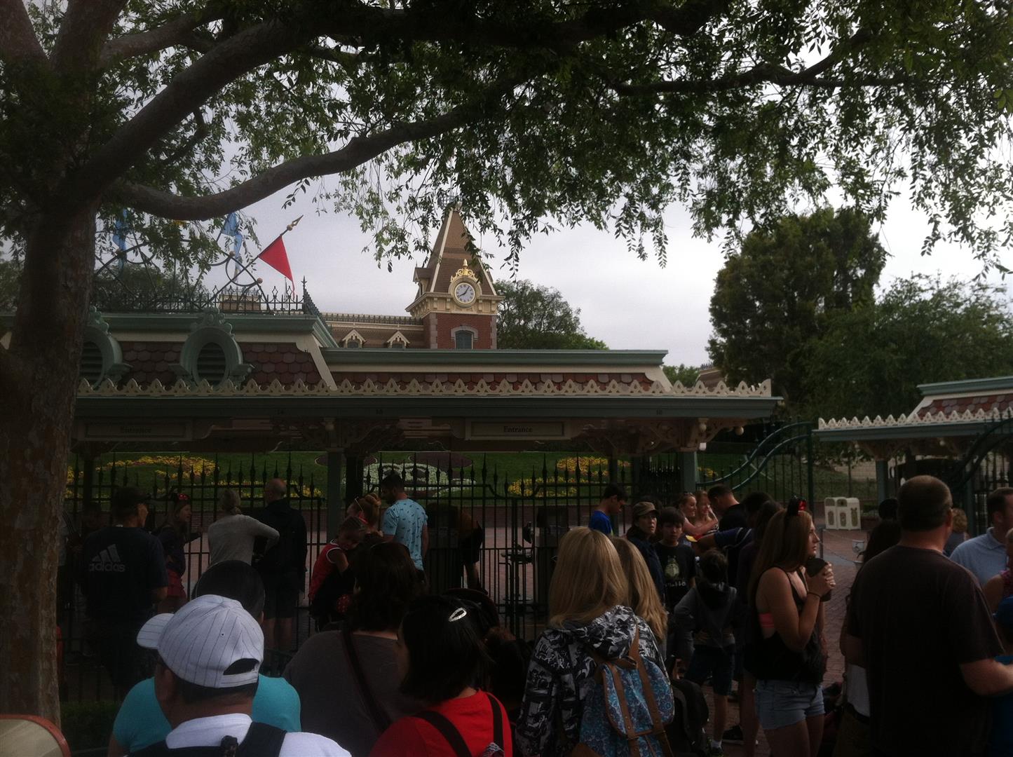 IMG_0155%20(Large).JPG