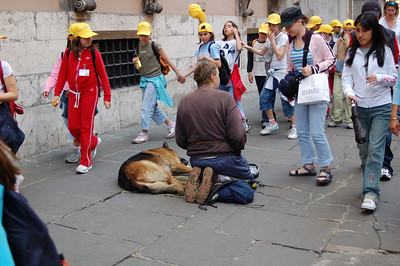 328904970_7oA78-S.jpg