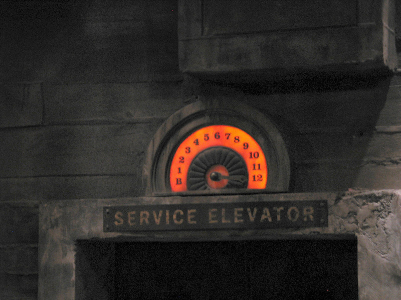 IMG8648ped-L.jpg