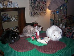 4027431617_9d1bfe49a9_m.jpg