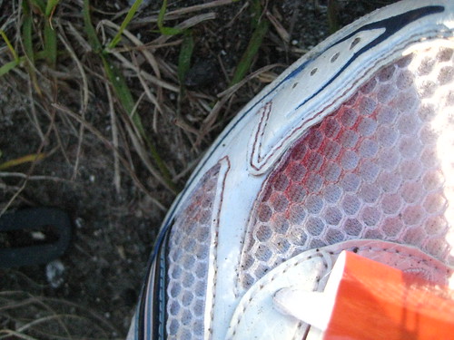 4569047994_f53a368623.jpg