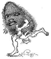banksia_man.png