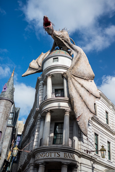 DSC_9721-L.jpg