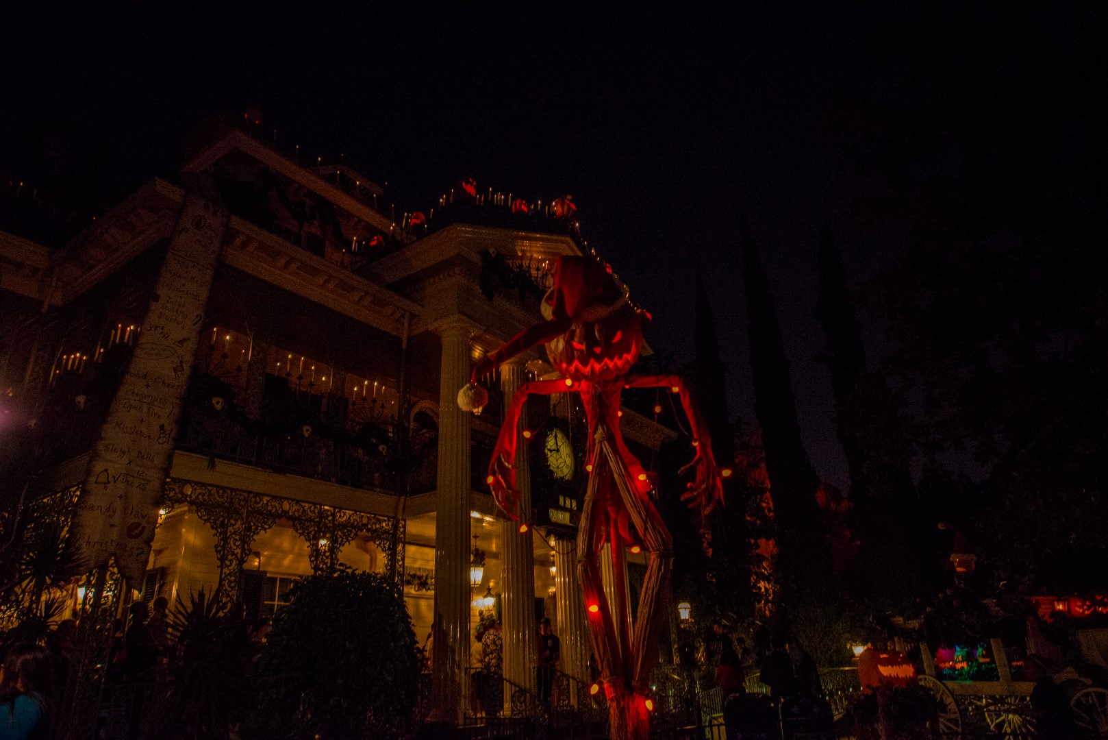 DSC_4073%20(Large).jpg
