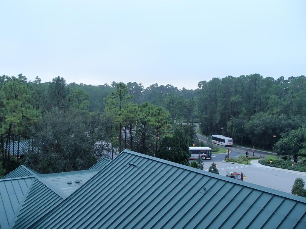 P9071935_zps156743dd.jpg