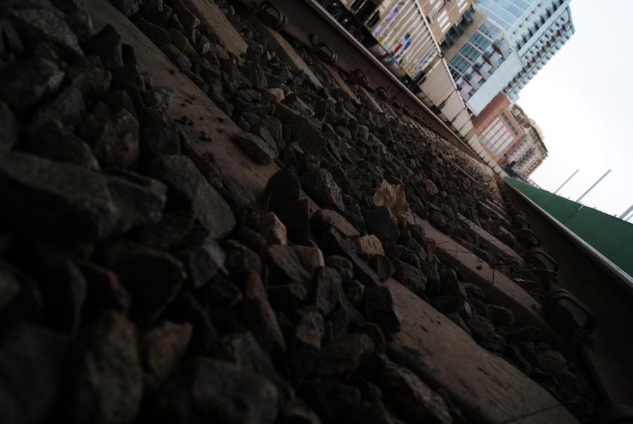 ants_eye_view_by_bfoflcommish-d3cz9km.jpg