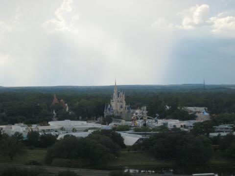 IMG_2038.jpg