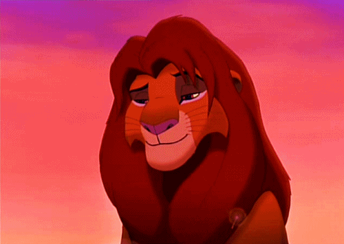 tumblr_lp00h8XRlO1qf8bwxo2_500.gif