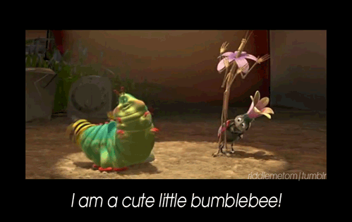 tumblr_ldvplavHCs1qa8ir9o1_500.gif