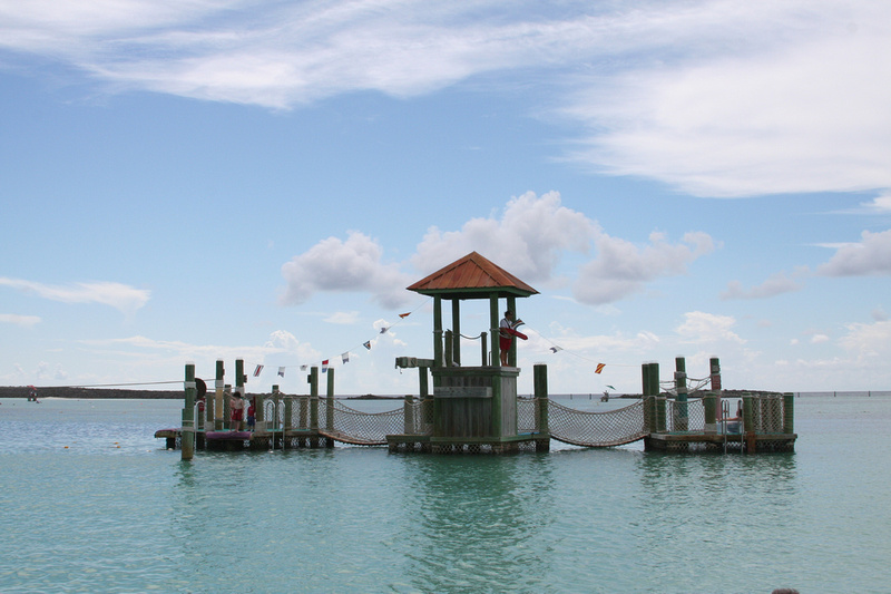 p67350497-4.jpg
