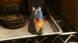 tumblr_n143ccUvR61tsa1opo1_250.gif