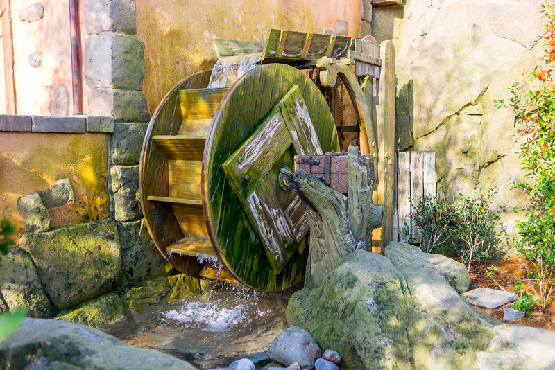 DSC_6601-L.jpg