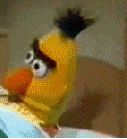 tumblr_lnm2f55TlC1qc1ap3.gif