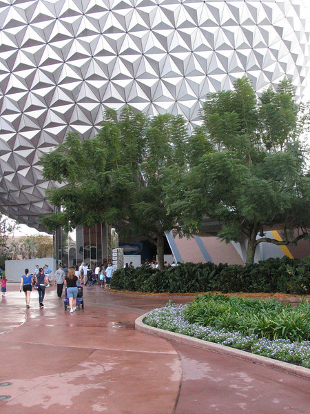 IMG6202-L.jpg