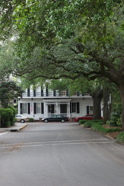 savannah-34.jpg