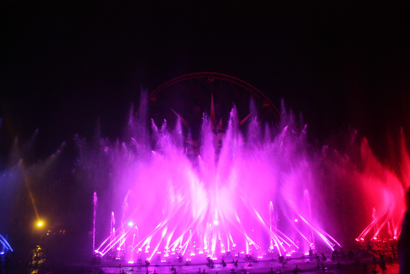 IMG0583-L.jpg