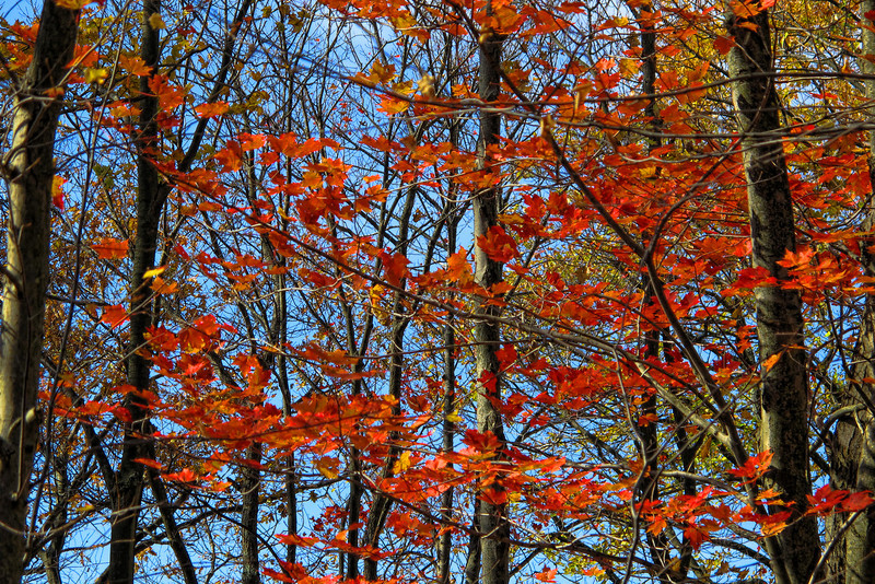1062042118_EBVYH-L.jpg