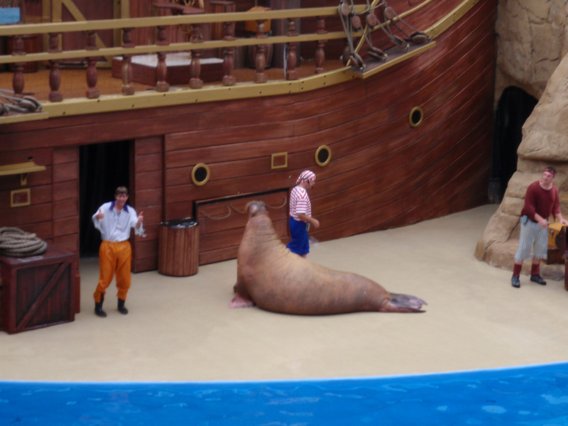 323564270_97Hd7-L.jpg