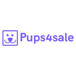 samoyed_pups_03a.jpg