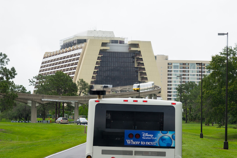 DSC_2095-L.jpg