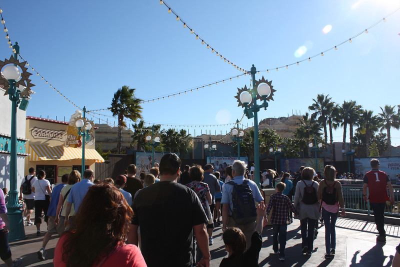 IMG9814-L.jpg