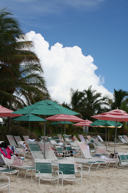 p309510872-4.jpg