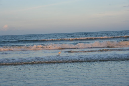 IMG_3200.jpg