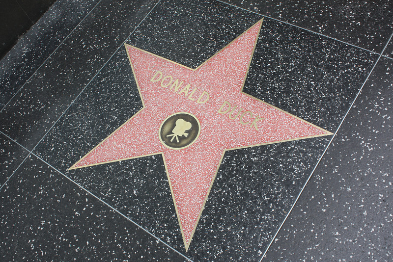 IMG0920-L.jpg