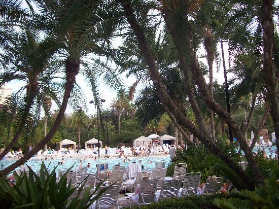 pool-view-1.jpg