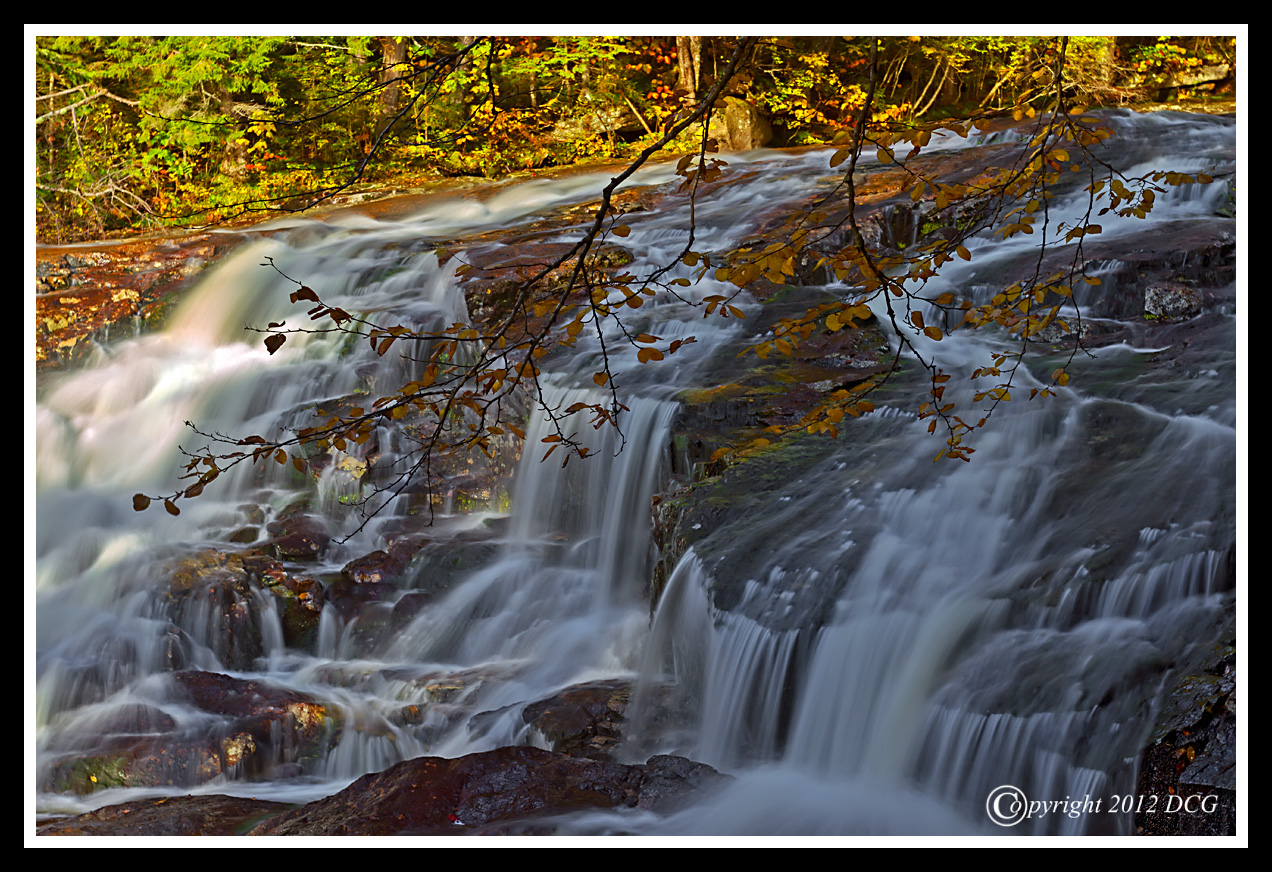 Cascade-Brook-10-02-42cr-X2.jpg