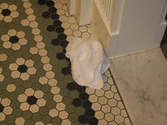 2916308832_18e76aaa5c_m.jpg