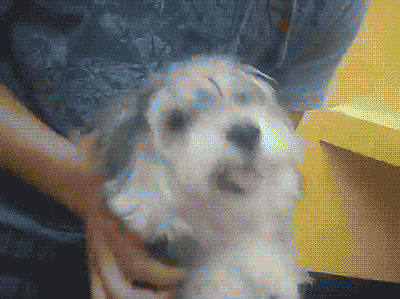 tumblr_lpolpgYPUf1qj6fyro1_400.gif