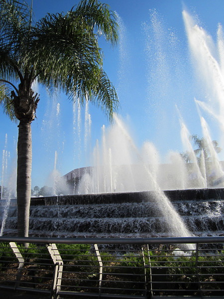 IMG0508-L.jpg