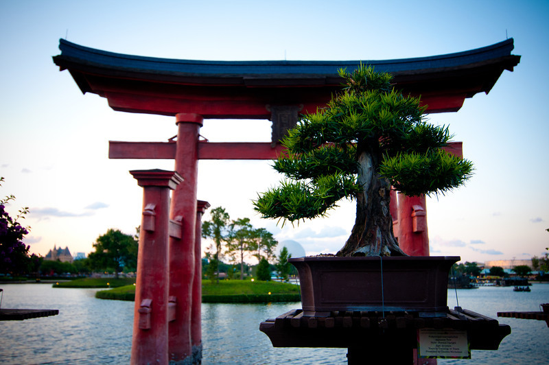 DSC7416-L.jpg