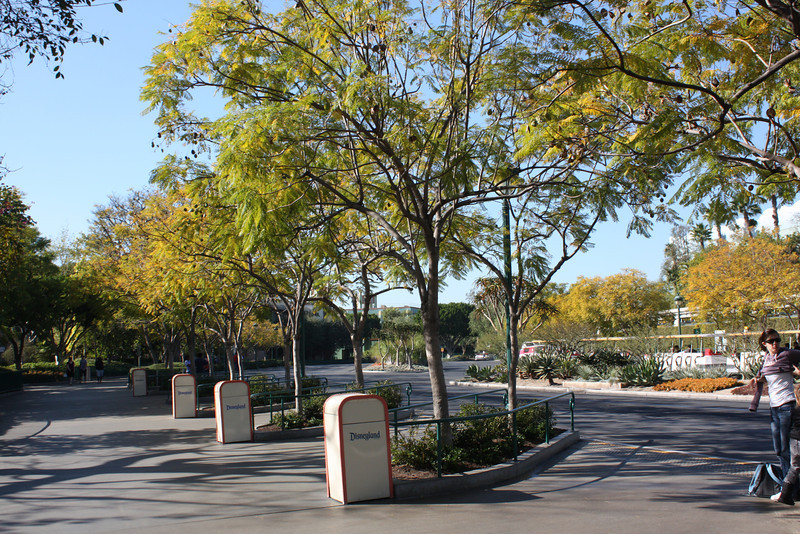 IMG9413-L.jpg