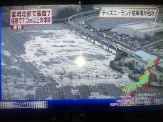 4d79cb3575f05.jpg