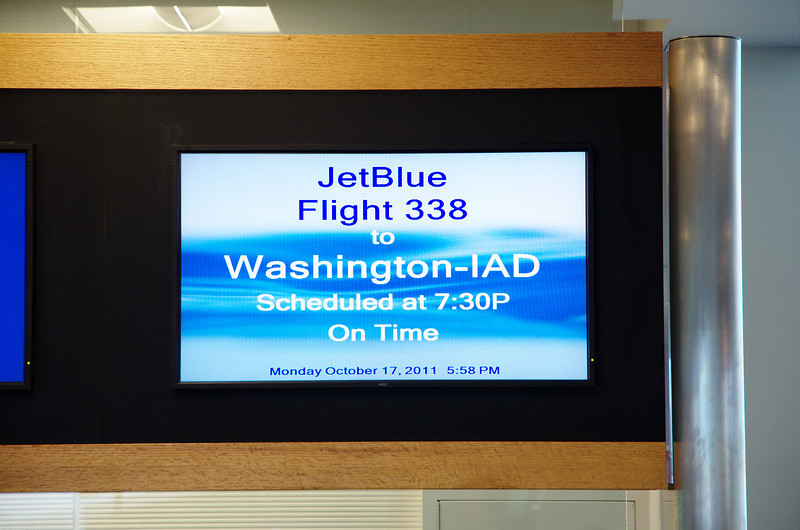 DSC7831-L.jpg