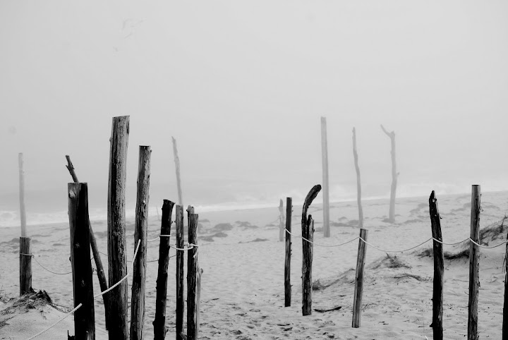DSC_0366.JPG