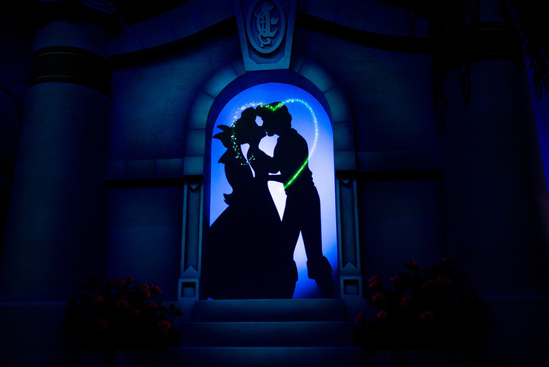 DSC_3559-L.jpg