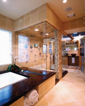 bathroom-over-50000-bronze.jpg