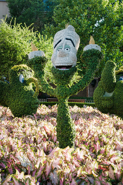 DSC7328-Edit-L.jpg