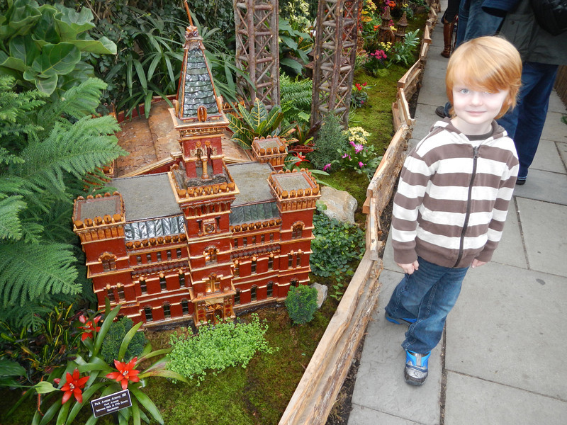 DSCN9504-L.jpg