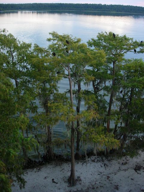 DSCN2409.JPG