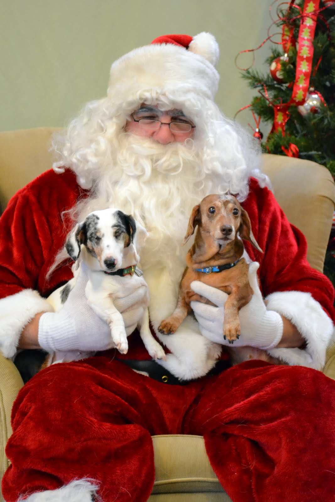 santa%2B2010.JPG