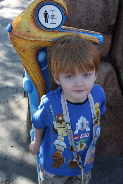 IMG9861-L.jpg