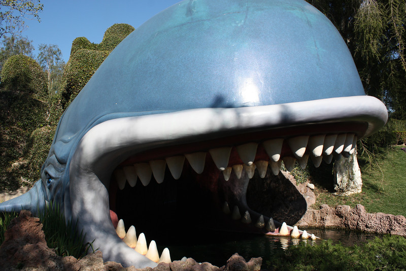 IMG9304-L.jpg