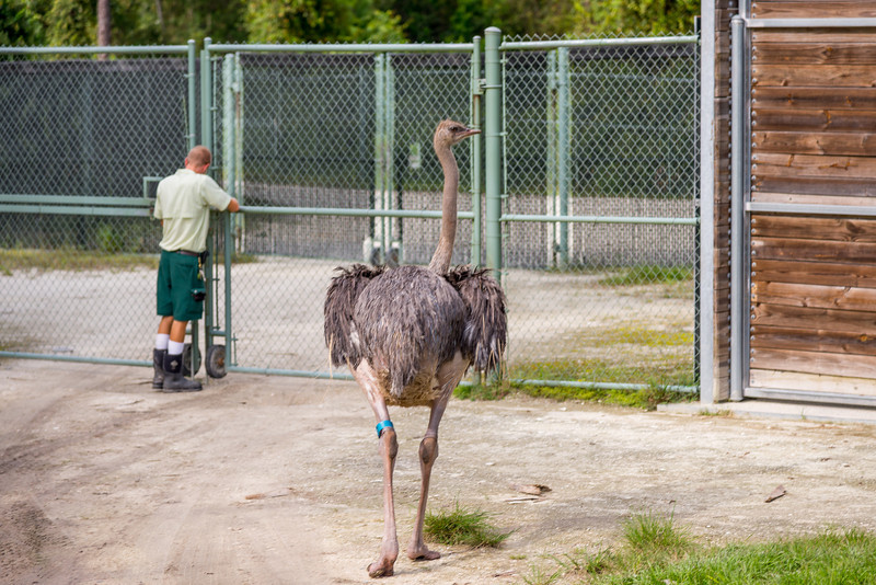 DSC_1861-L.jpg