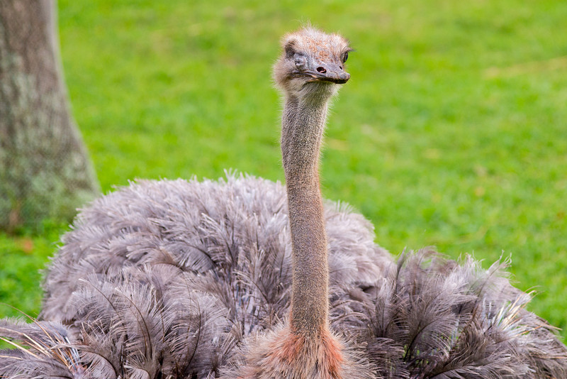 DSC_2025-L.jpg