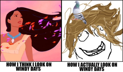 tumblr_ljgirfCy0K1qa4w2fo1_500.png
